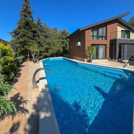 Pino - Villa, Casa, Cucina Е Terrazza Albena Exteriér fotografie