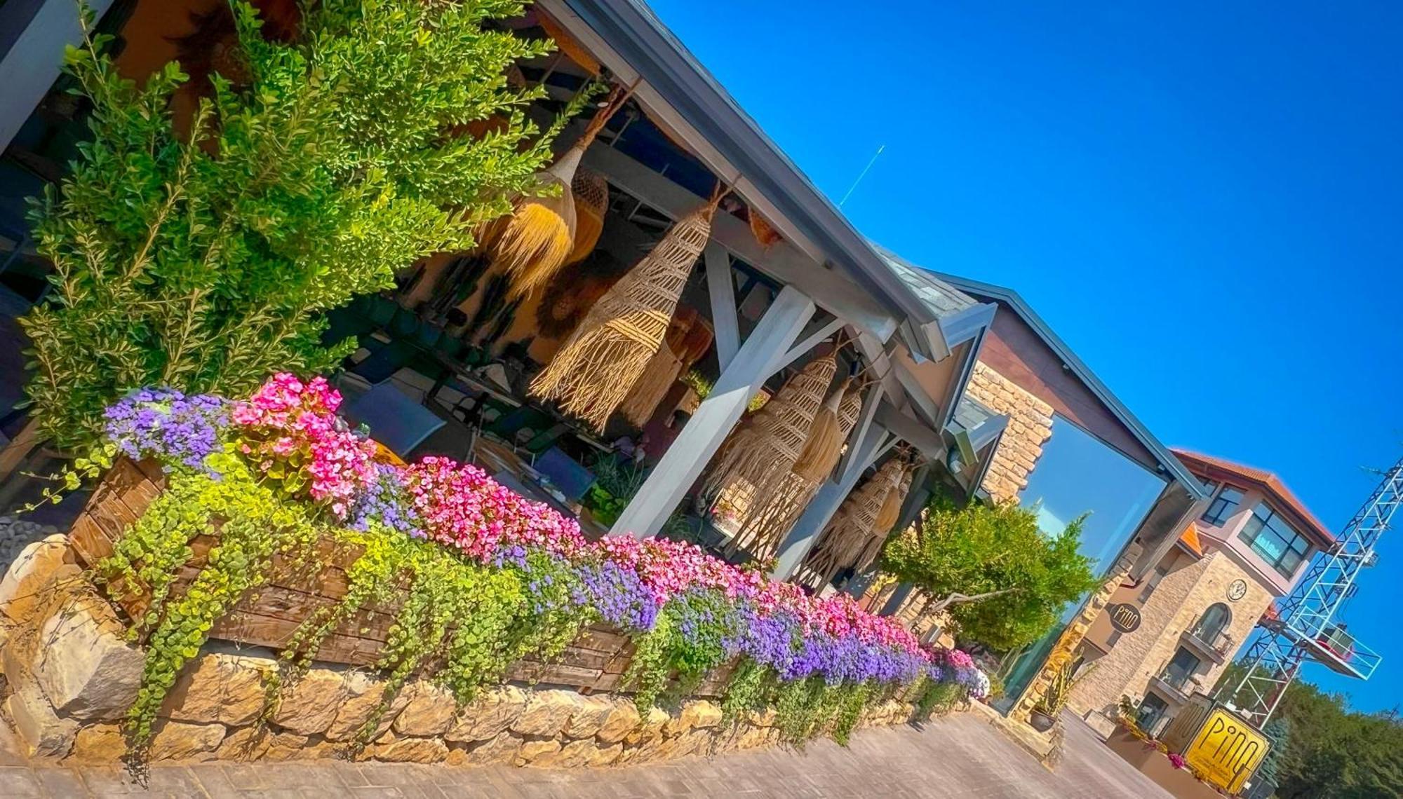 Pino - Villa, Casa, Cucina Е Terrazza Albena Exteriér fotografie