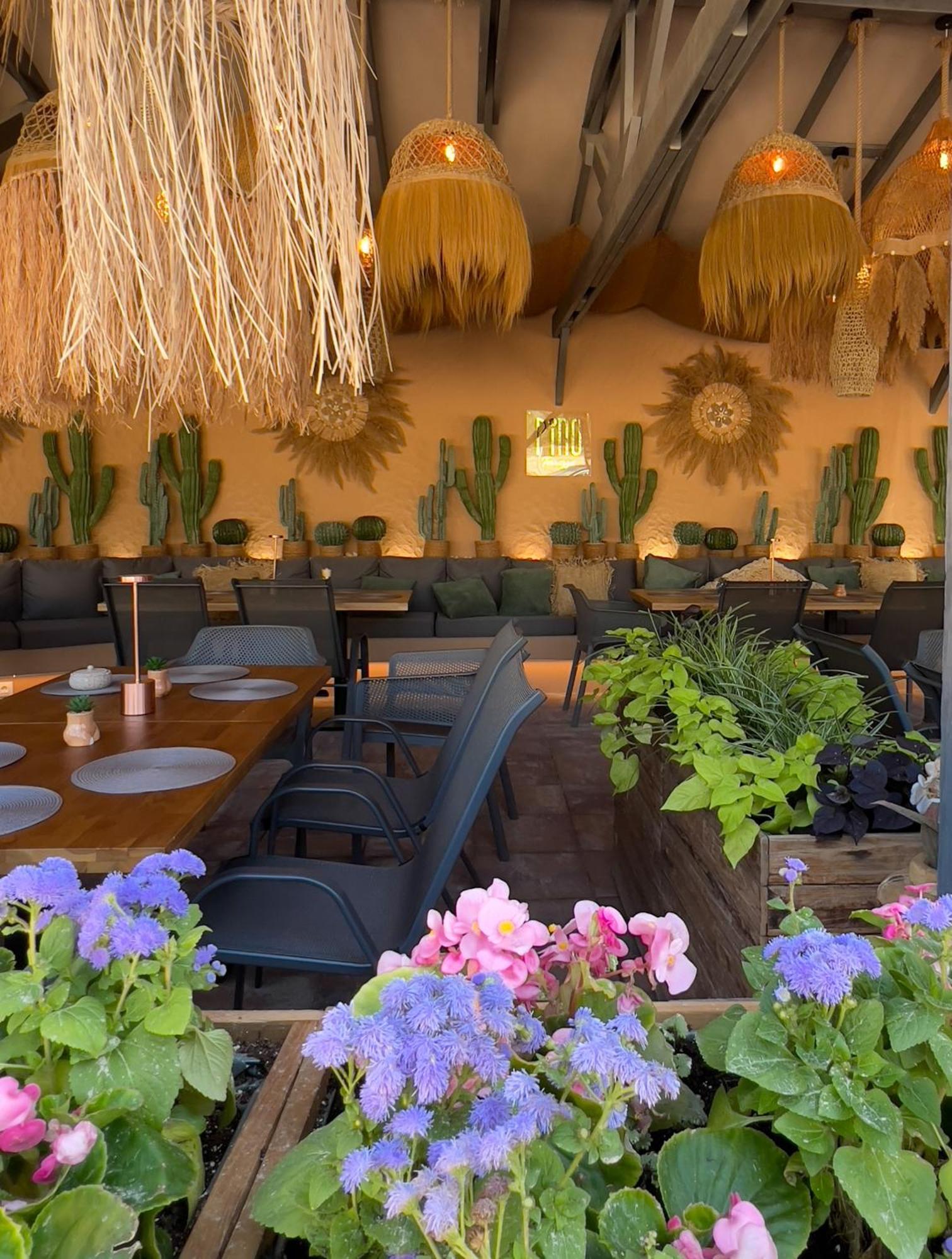 Pino - Villa, Casa, Cucina Е Terrazza Albena Exteriér fotografie