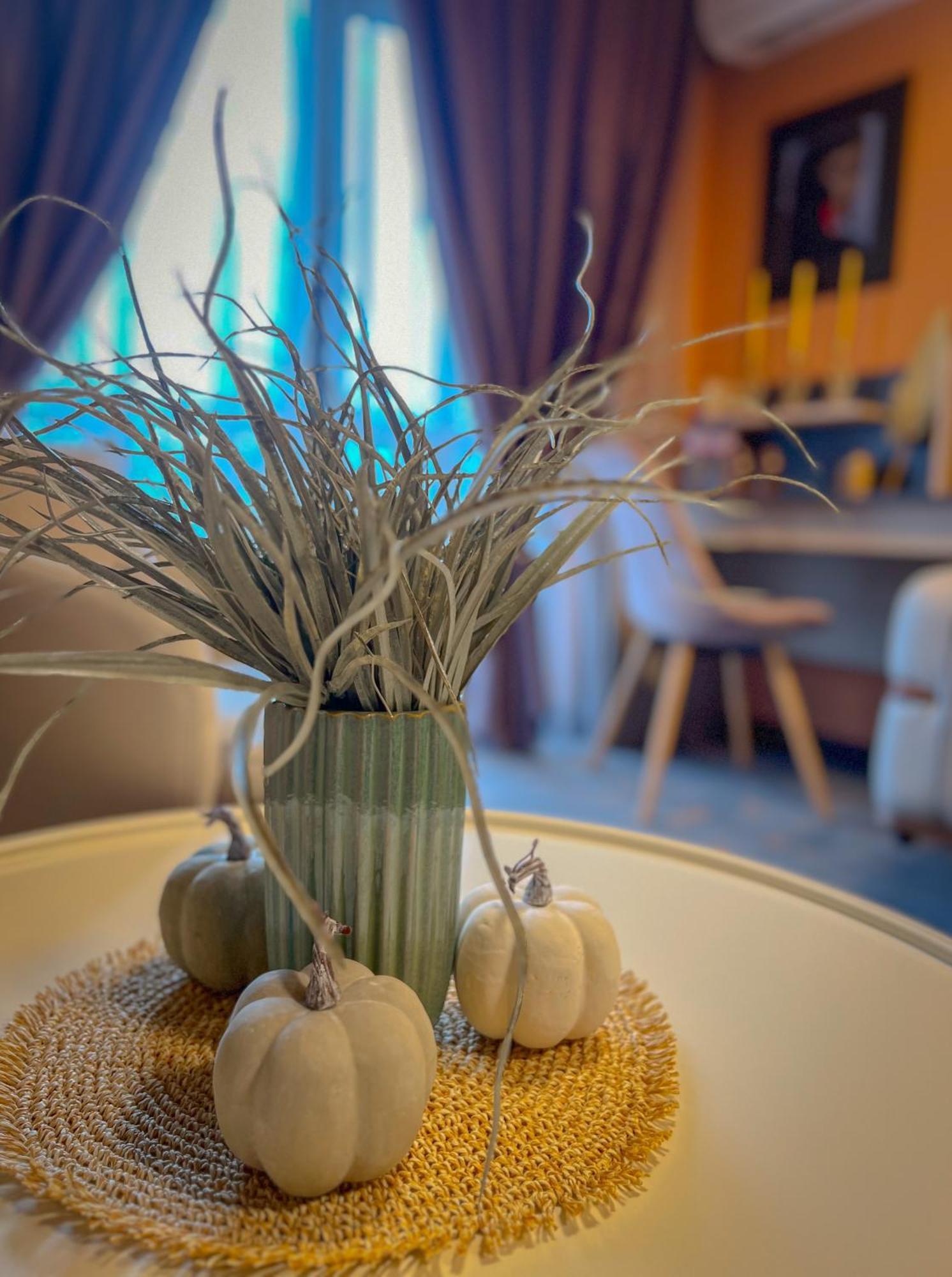 Pino - Villa, Casa, Cucina Е Terrazza Albena Exteriér fotografie